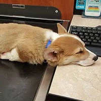 Con t/g lên cơn thèm ngủ