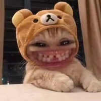 t/g nứng don xàm xí