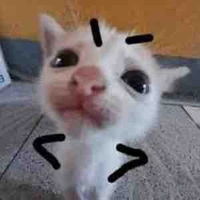 tác giả cũ 