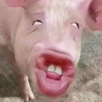 all