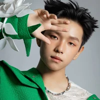 Nguyễn Thanh Phúc Nguyên