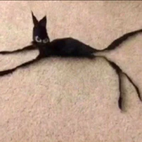 ？？？