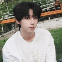 Dương Bác Văn (em)