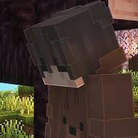 BearSeeTinh_05