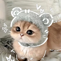 mèo thik chuột 🐭🧀