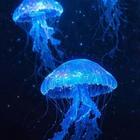 Nhân vật nam tổng hợp