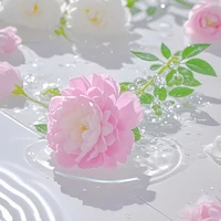 Nhân vật nữ tổng hợp