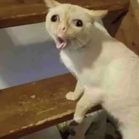 tg