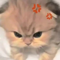 tổng đài đi húc bồn cầu