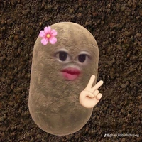 t/g