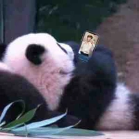 @tongtailanhlung.