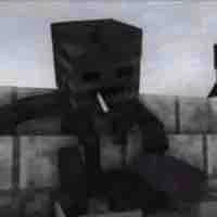 Wither 💩