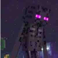 Enderman 