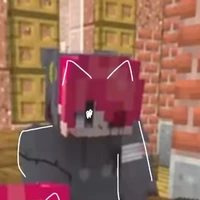 hiha Bear killer