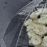 All (trừ ai cần trừ)