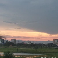 Tác giảa