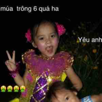 Phạm Bảo Ánh (lợn luộc)