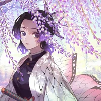 kochou shinobu /Elena Carter
