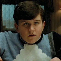 Dudley Dursley