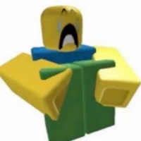 noob (idk)