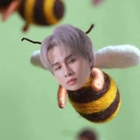 fan anh jack