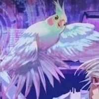 Dưa Hấu /vẹt/🦜