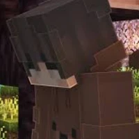 Bear See tình