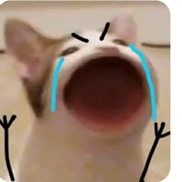 nhìn là bt ko hiền rồi