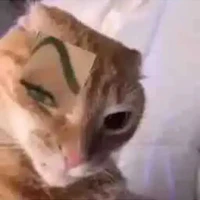 sisi mê bánh kem？？？