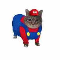 Tác giả sợ văn