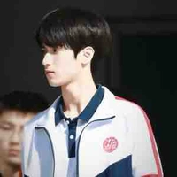 Nghiêm Hạo Tường