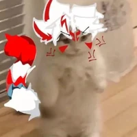 t/g