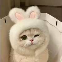 Hệ thống