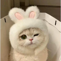 Hệ thống
