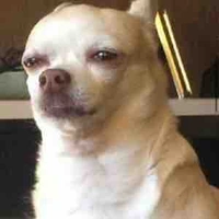 Cô giáo(con ut bà Mai)