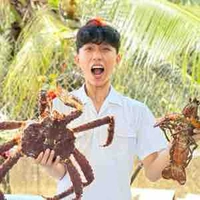 lê  minh 
