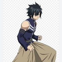 Gray Fullbuster