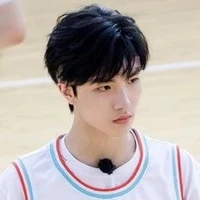Tô Tân Hạo (papi y)