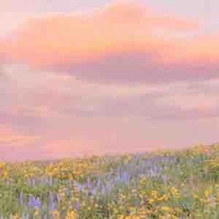 tác giả tongtailanhlung