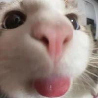 Canndyy đayy!! [T/G]