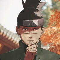 IRUKA UMINO