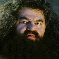 Rubeus Hagrid