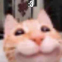 HT ngáo lol