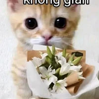 tác giả của các vk