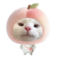 tác giả của câu chuyện xàm lờ