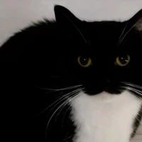 Autor22 ( tác giả + hệ thống )