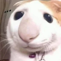 T/g xồn làm
