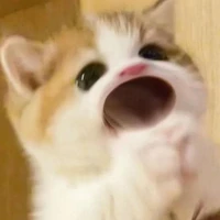 Hệ thống 025