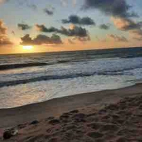 chú mèo ngốc nghếch:))