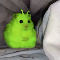 chuột nhiễm phóng xạ